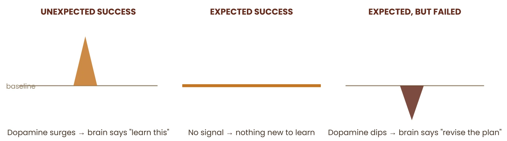 Diagram of dopamine response: a surge after unexpected success, no signal after expected success, a dip when an expected reward fails