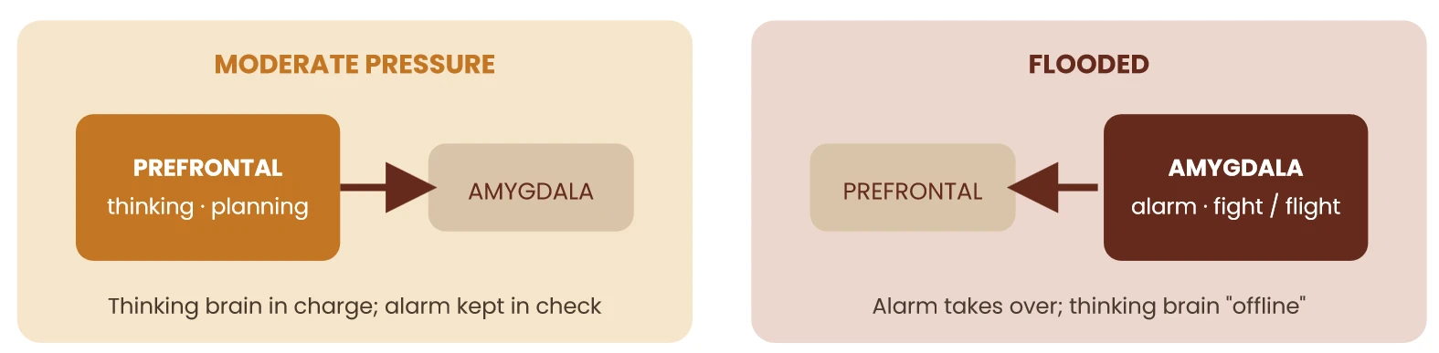Diagram: under moderate pressure the prefrontal cortex (thinking, planning) leads the amygdala; when flooded, the amygdala (alarm, fight or flight) takes over and the thinking brain goes offline