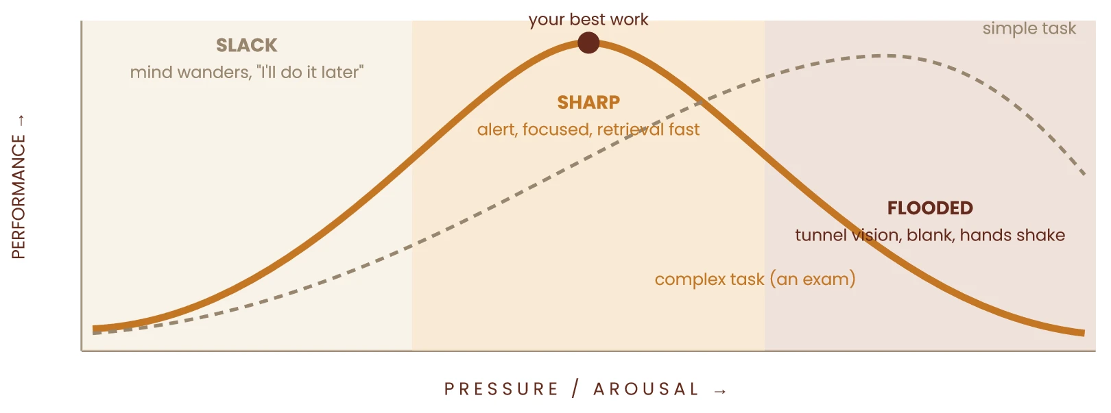 Chart of the Yerkes-Dodson curve: performance rises with pressure, peaks at "sharp", then falls into "flooded"; the exam (complex task) peaks earlier than a simple task